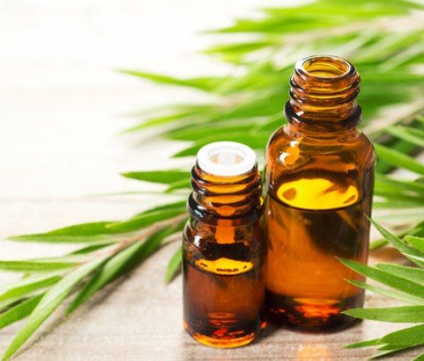 Tea-tree oil 100gms